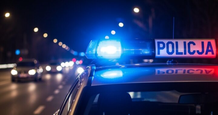 niesprawne---wiat--o-ujawnia-kryminaln---przesz--o-auto-425