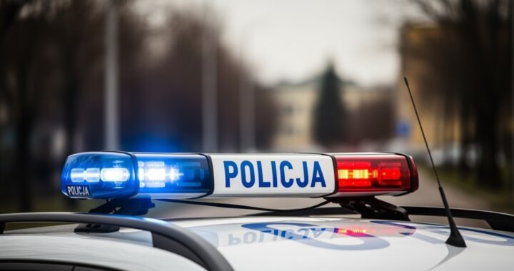s--u--ba-w-policji--odkryj-nieznane---cie--ki-kari-auto-6607